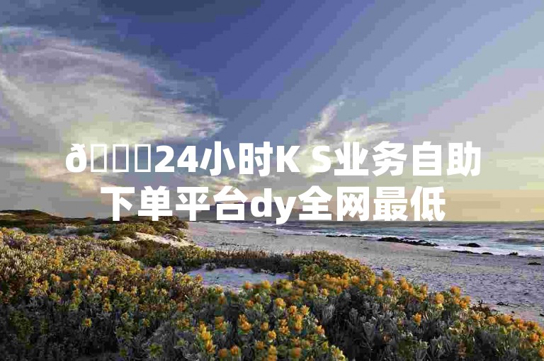 🚀24小时K S业务自助下单平台dy全网最低