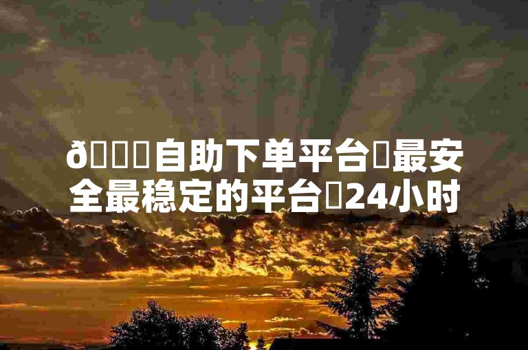 🚀自助下单平台✨最安全最稳定的平台✨24小时业务自助下单平台免费✨