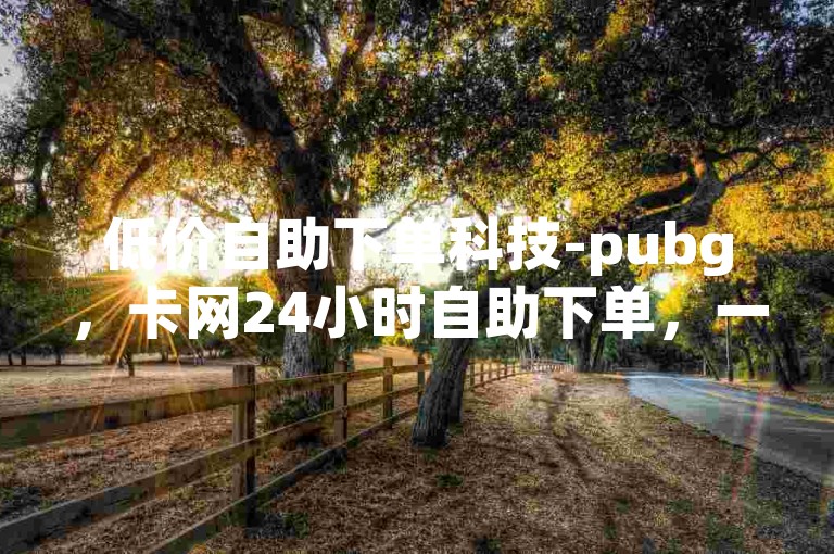 低价自助下单科技-pubg，卡网24小时自助下单，一元买不到一快币！✨