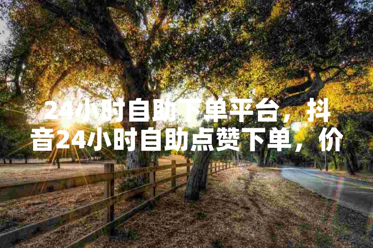 24小时自助下单平台，抖音24小时自助点赞下单，价格便宜✨✨✨