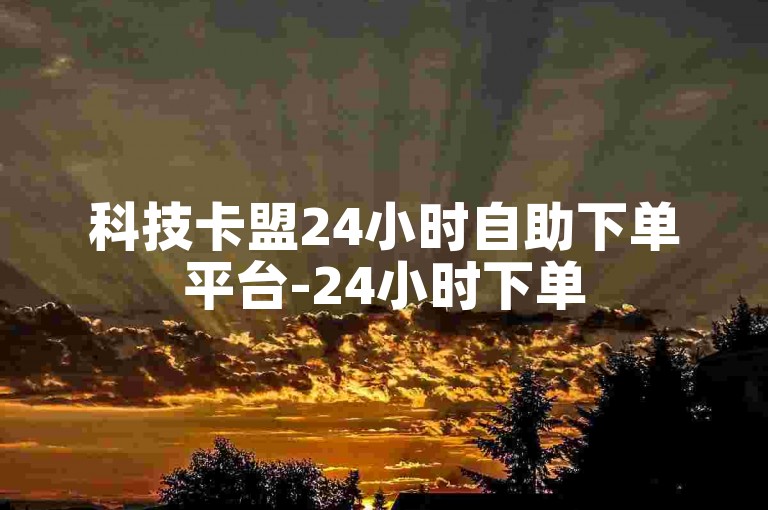 科技卡盟24小时自助下单平台-24小时下单