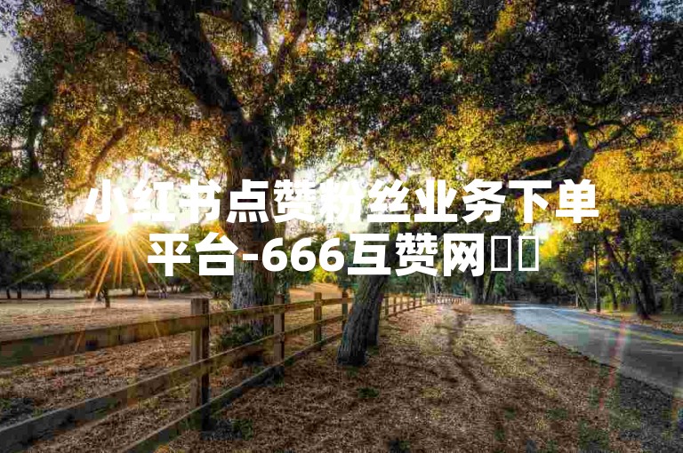 小红书点赞粉丝业务下单平台-666互赞网✨✨