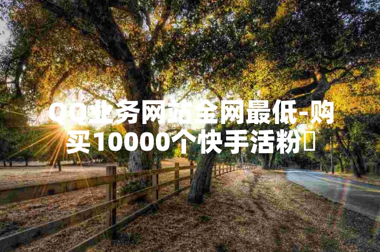 QQ业务网站全网最低-购买10000个快手活粉✨