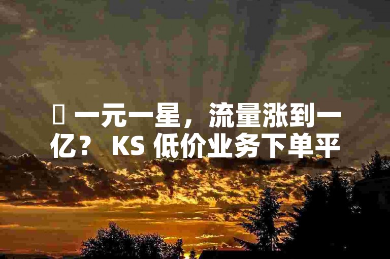 ✨ 一元一星，流量涨到一亿？ KS 低价业务下单平台，货真价实吗？