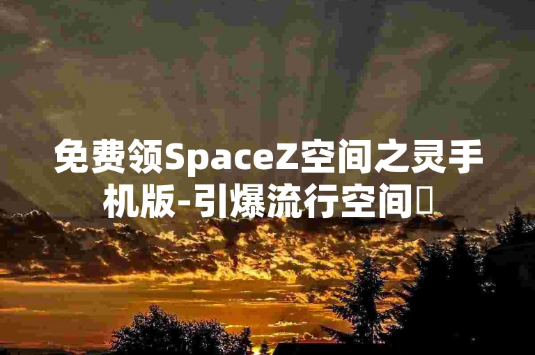 免费领SpaceZ空间之灵手机版-引爆流行空间✨