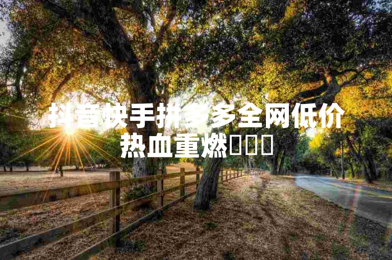 抖音快手拼多多全网低价热血重燃✨✨✨