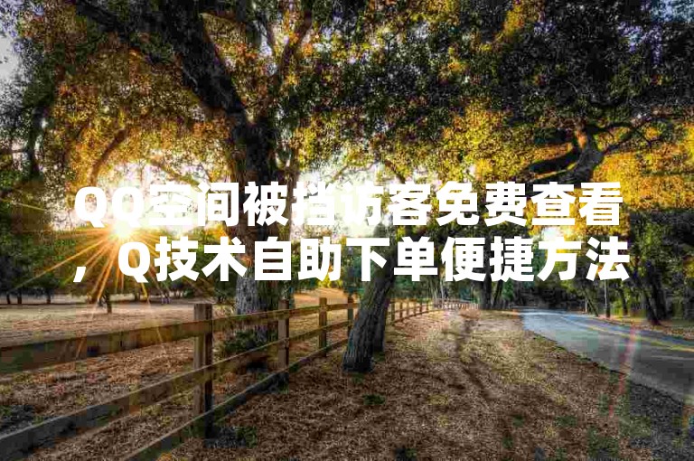 QQ空间被挡访客免费查看，Q技术自助下单便捷方法