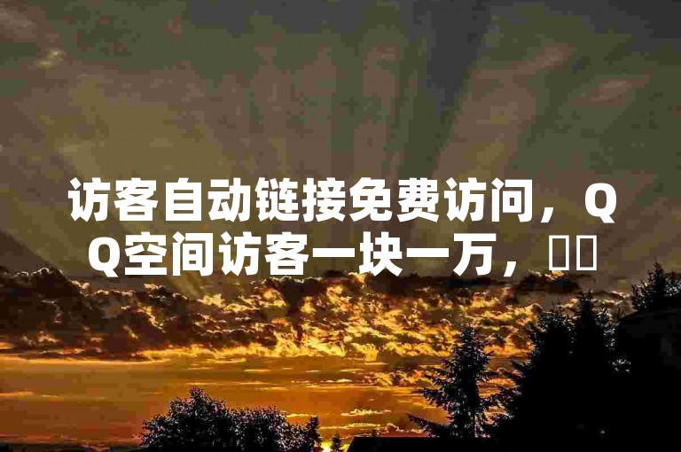 访客自动链接免费访问，QQ空间访客一块一万，✨✨✨