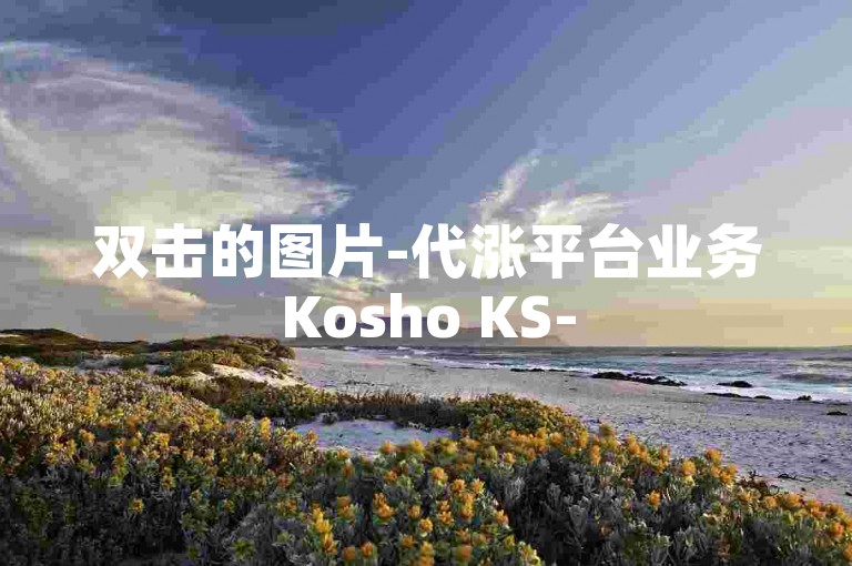 双击的图片-代涨平台业务Kosho KS-