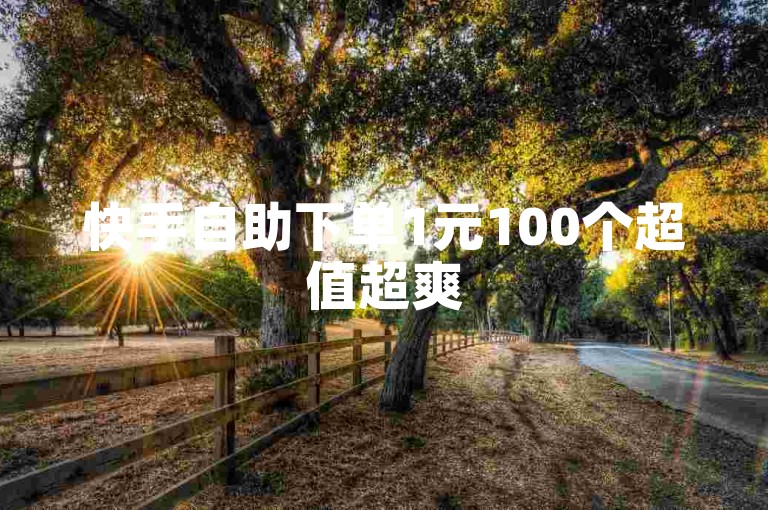 快手自助下单1元100个超值超爽
