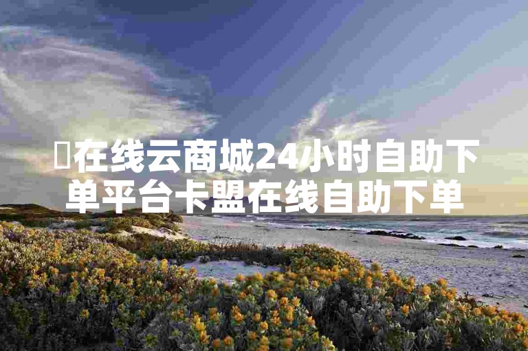 ✨在线云商城24小时自助下单平台卡盟在线自助下单-24小时自动下单平台业务✨