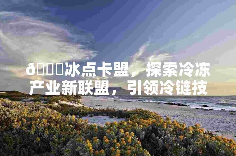🚀冰点卡盟，探索冷冻产业新联盟，引领冷链技术革新潮流✨