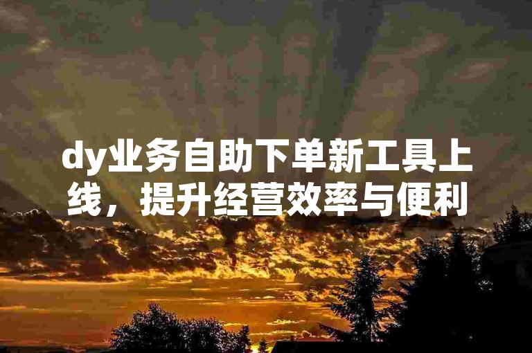 dy业务自助下单新工具上线，提升经营效率与便利度，助力企业轻松快捷的业务自助下单流程，抖音点赞充值秒到账，快手100个秒到张揭秘！✨✨✨