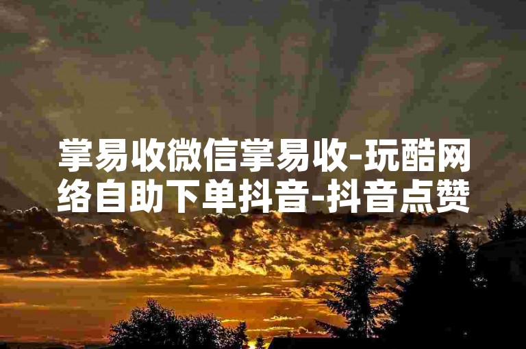 掌易收微信掌易收-玩酷网络自助下单抖音-抖音点赞✨