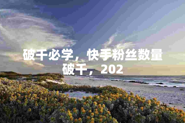 破千必学，快手粉丝数量破千，2025必学！🚀✨🚀