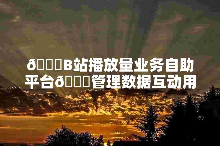 🚀B站播放量业务自助平台🌟管理数据互动用户管理✨