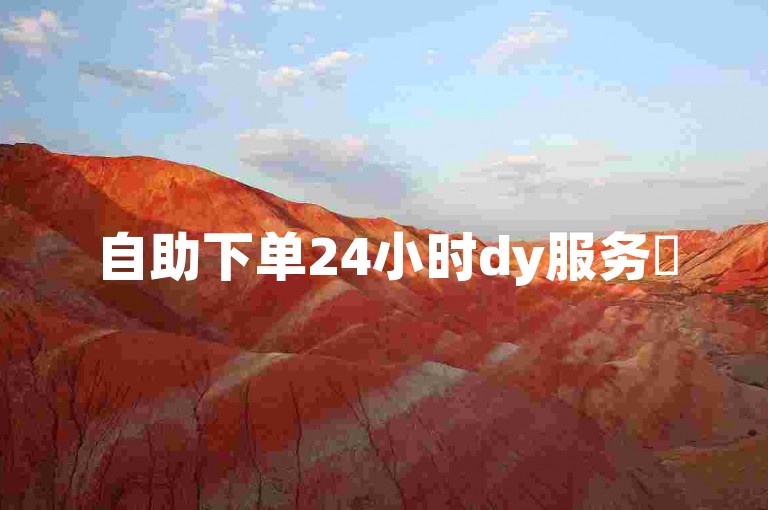 自助下单24小时dy服务✨