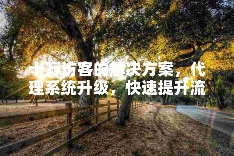 十万访客的解决方案，代理系统升级，快速提升流量效率✨🚀🚀