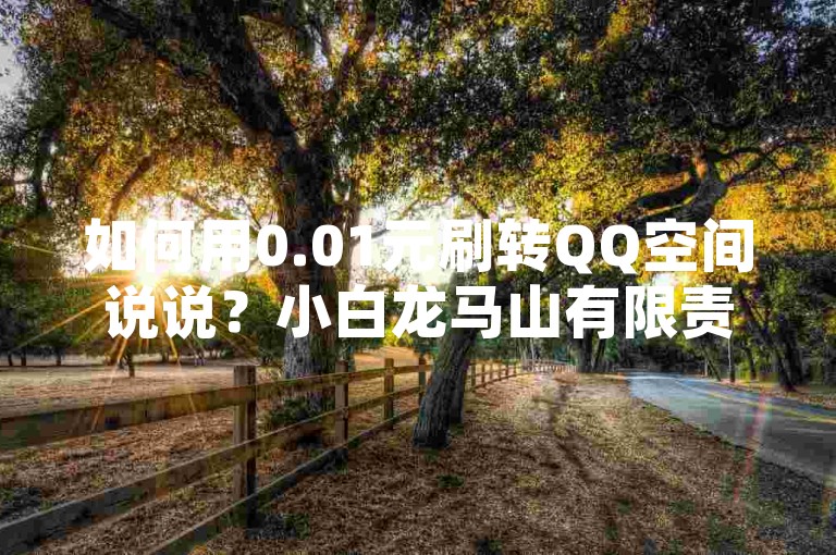 如何用0.01元刷转QQ空间说说？小白龙马山有限责任公司推荐！✨✨✨