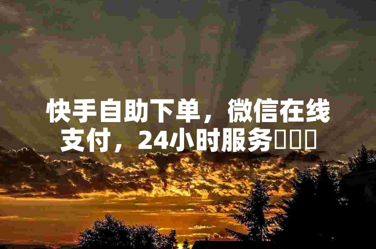 快手自助下单，微信在线支付，24小时服务✨✨✨