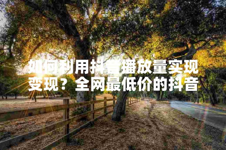 如何利用抖音播放量实现变现？全网最低价的抖音播放量✨